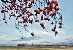 クリスマストレイン運行‼