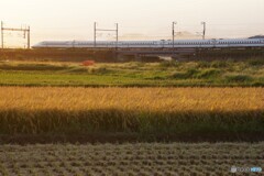 N700系瞬間通過！