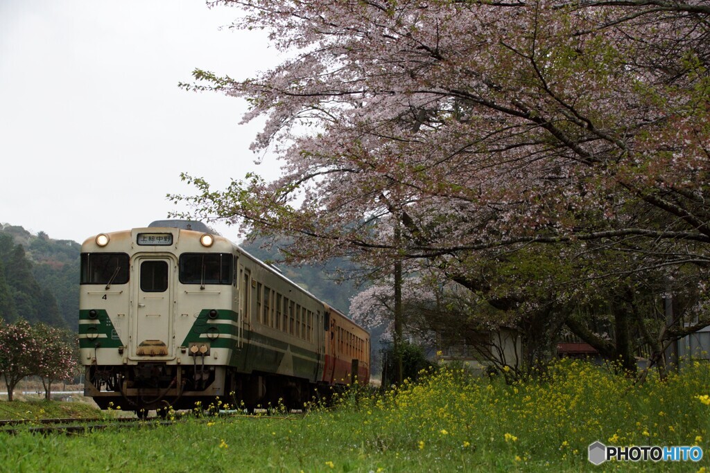 小湊鉄道　下り上総大久保駅出発！