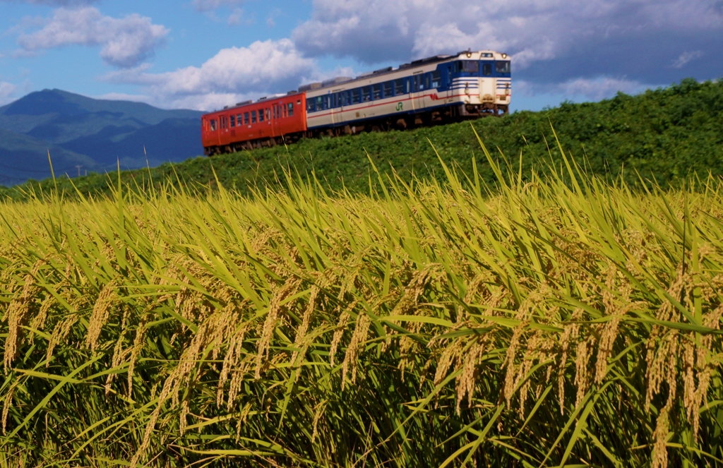 旧型DCコンビ！