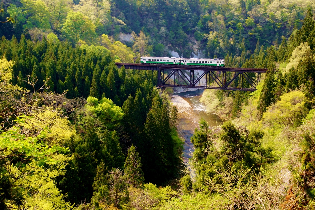 只見線懐かしの新緑風景！