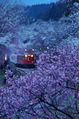 夕暮れの花園！