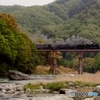 秩父鉄道に旧型客車が走る①～⑥の中の⑤