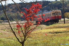 紅葉に去り行くキハ200型！