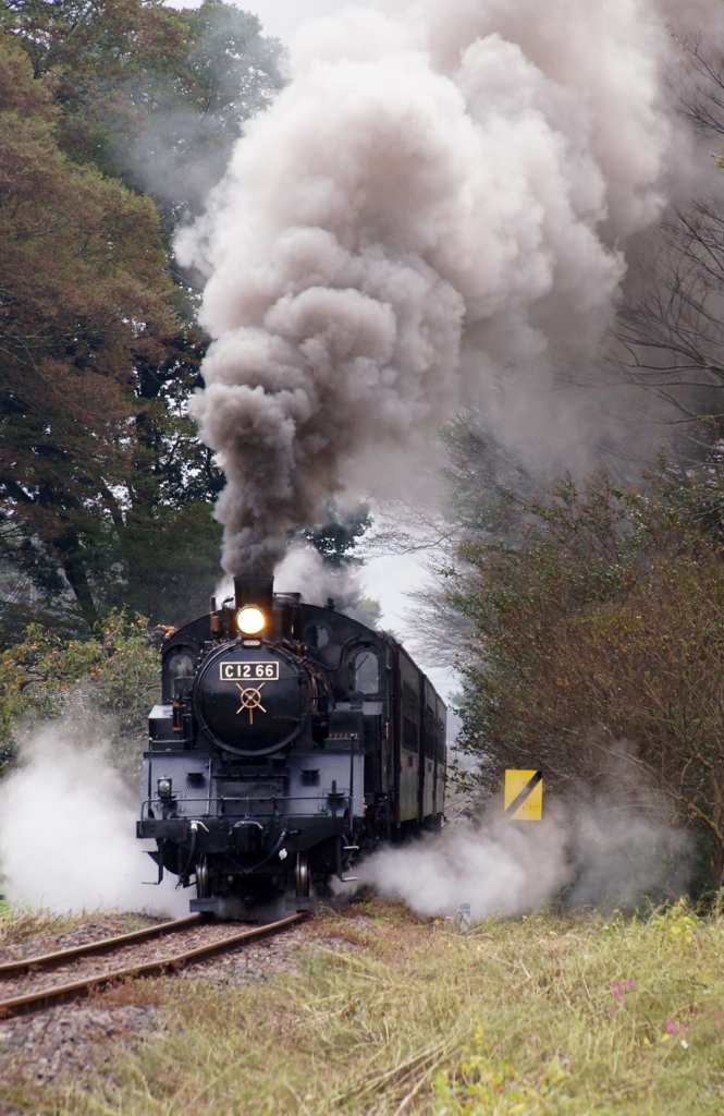 久しぶりの真岡鉄道！⑤