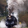 久しぶりの真岡鉄道！⑤