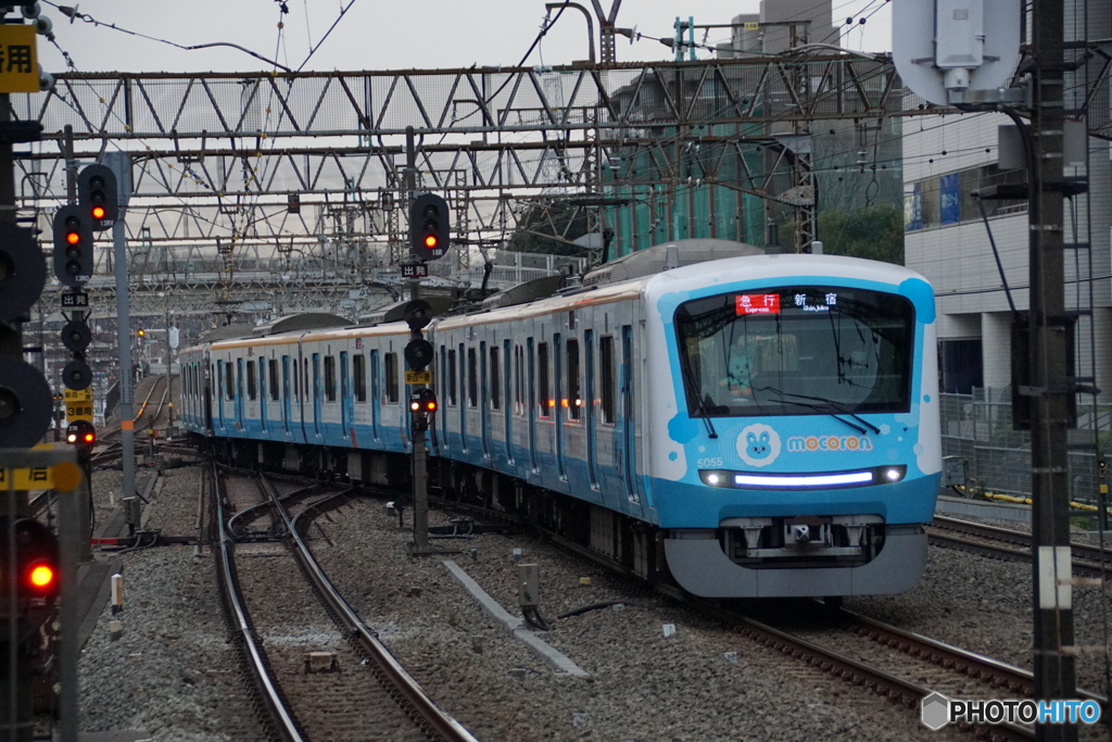 子育て支援ラッピング列車「もころん」号の先頭顔！
