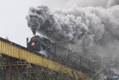 黄色い一戸橋梁を往く「ばんえつ物語号」！