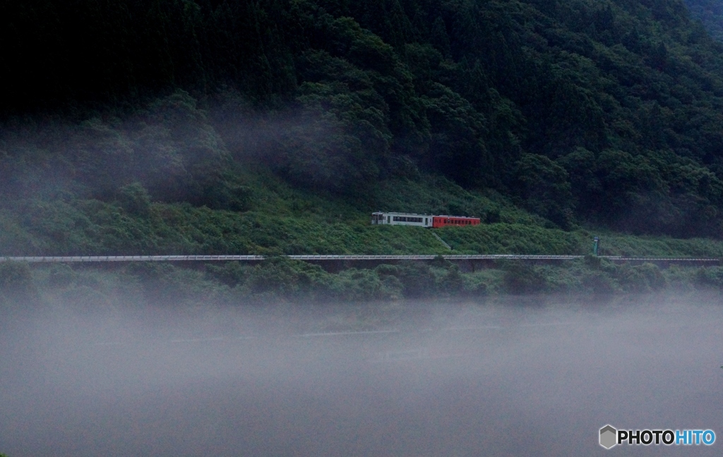 川霧の世界追跡！