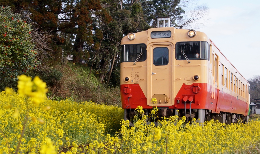 小湊鉄道のキハ40を追いかけて！⑤