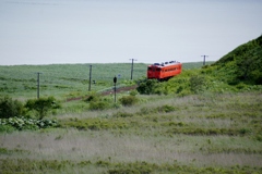 初夏の原野をのどかに走るタラコ色の単行キハ