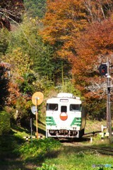 小湊鉄道の観光急行！
