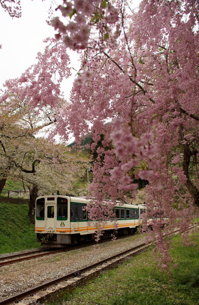 会津若松行きの列車後ろ追い！