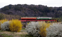 小湊鉄道のキハ40を追いかけて！⑩（完）