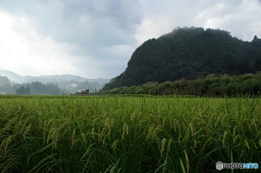 幻想的な田園風景！