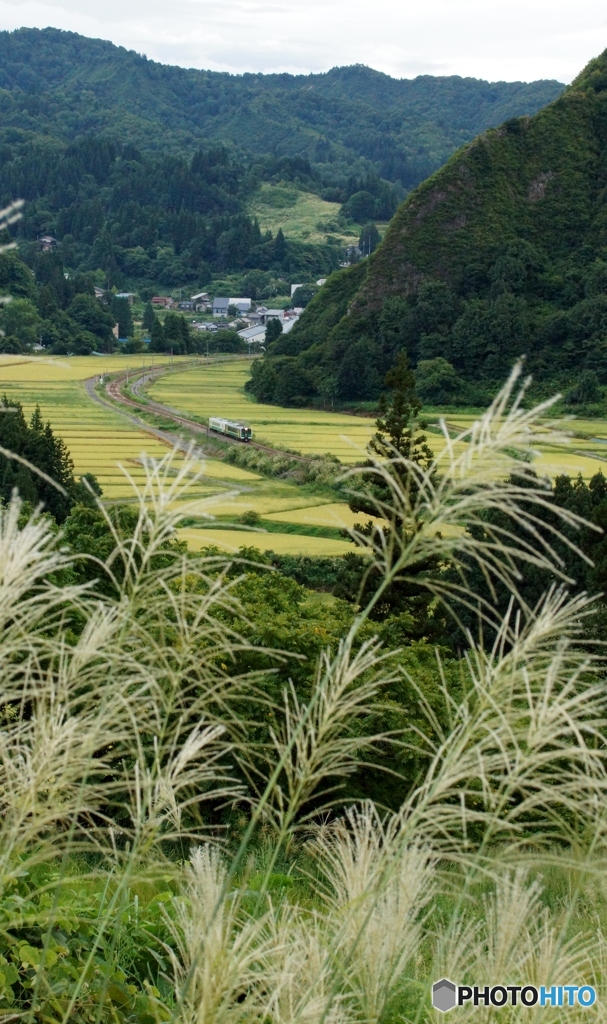 秋を感じる情景！（入広瀬）