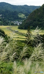 秋を感じる情景！（入広瀬）