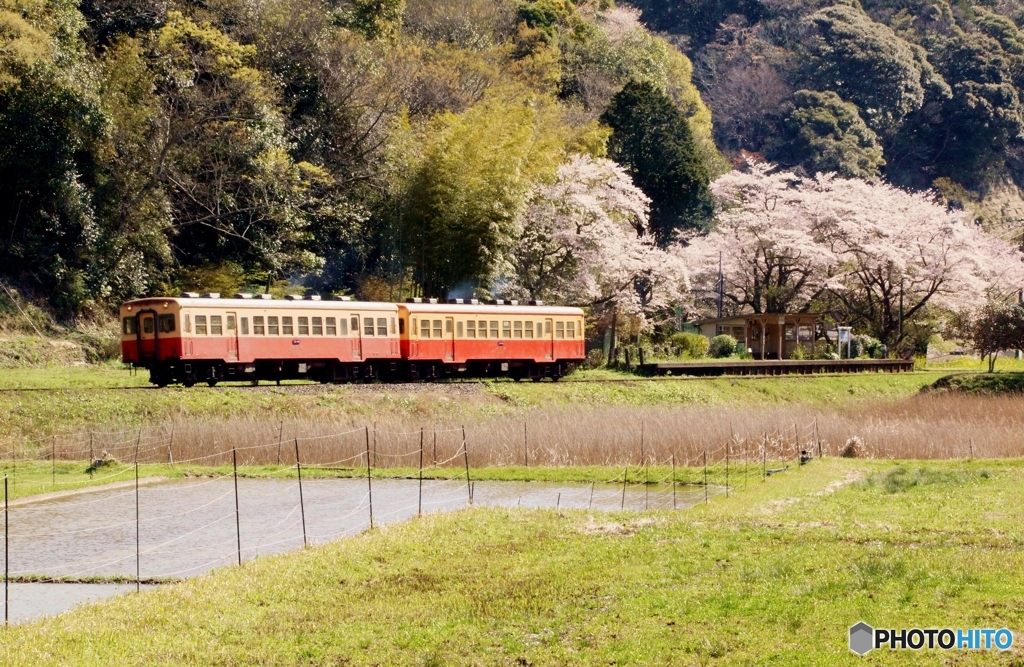 小湊鉄道　上総大久保駅出発！