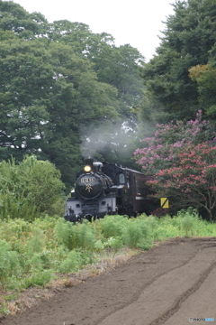 SL「もおか」イン多田羅！