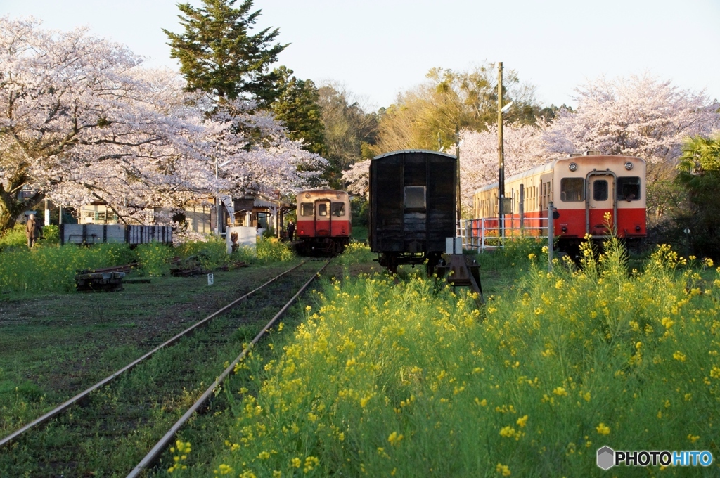 朝ラッシュの里見駅！