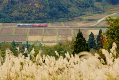 「秋」のどかな田園風景！
