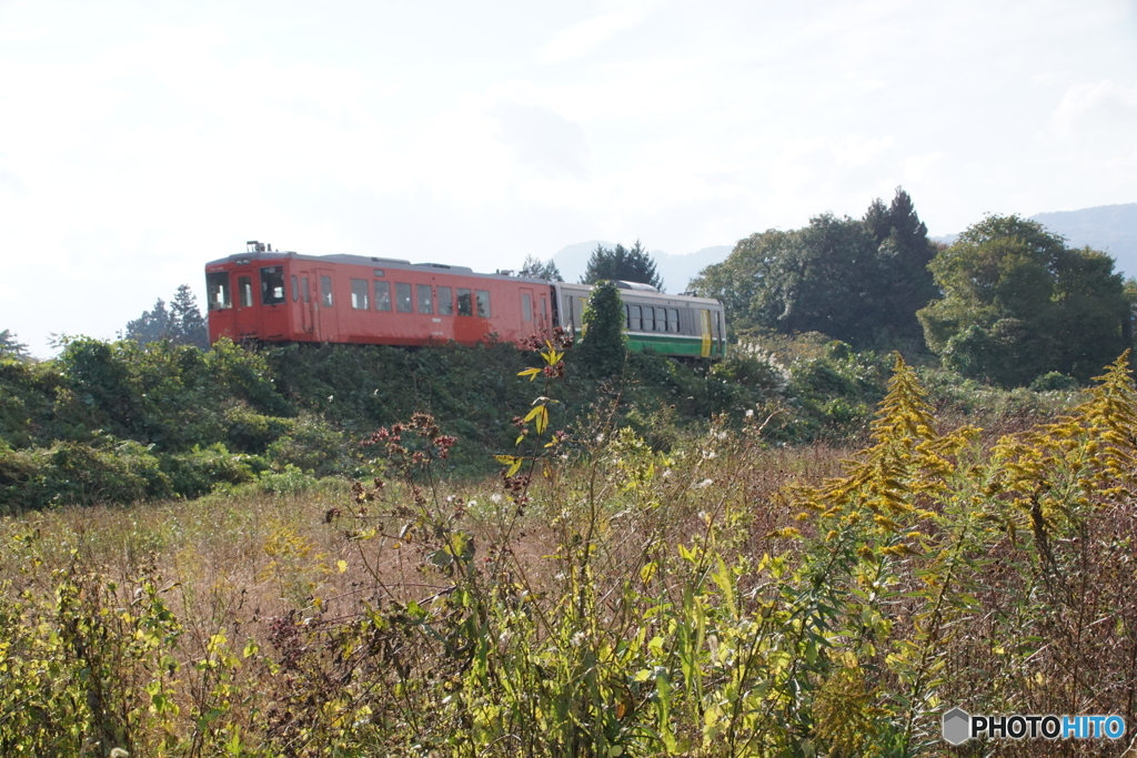 秋の築堤を走るキハ！