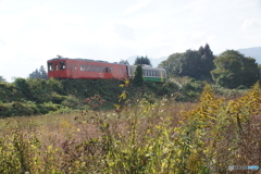 秋の築堤を走るキハ！