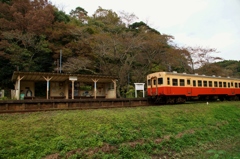 となりのトトロの森の中にある駅‼