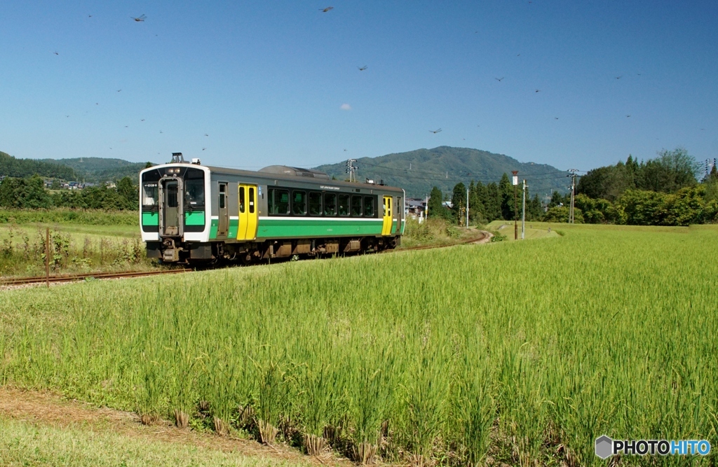 只見線　田園風景！