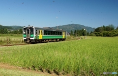 只見線　田園風景！