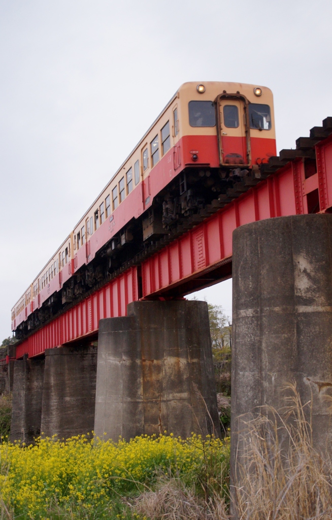 小湊鉄道の春！⑪