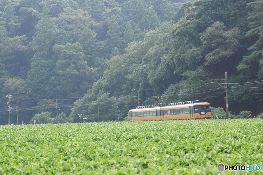 大井川鉄道　元近鉄特急車両が往く！