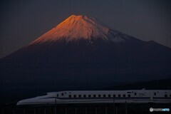 紅富士と新幹線！
