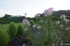 第１破間川橋梁を渡る始発列車！