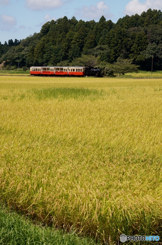 小湊鉄道　トロッコ列車　上総川間駅通過！①