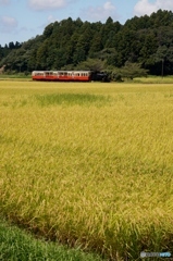 小湊鉄道　トロッコ列車　上総川間駅通過！①