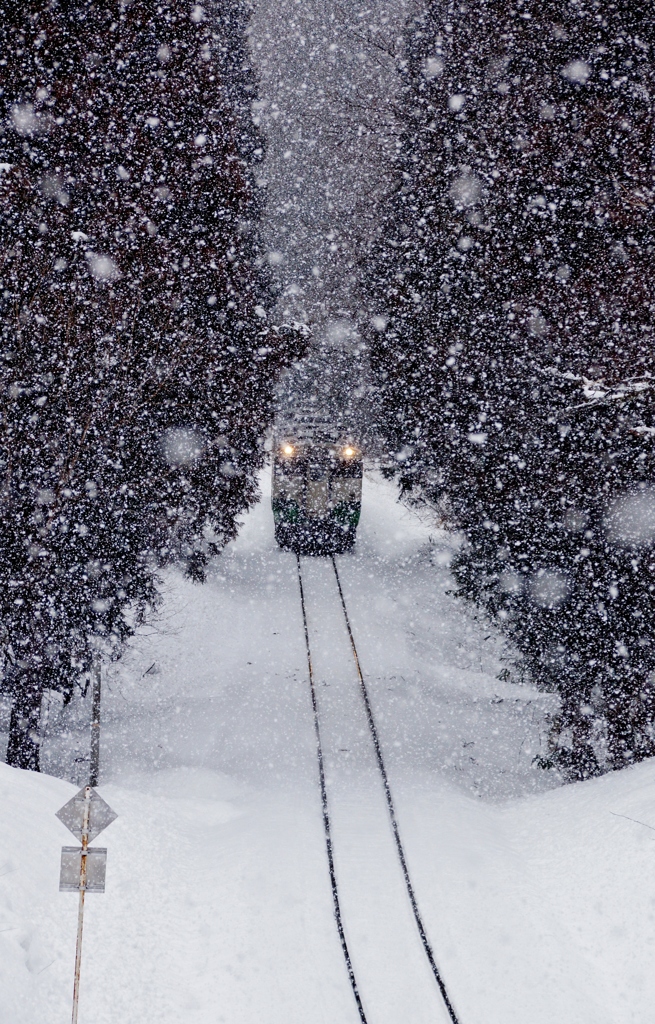 雪が降りまくる峠道！