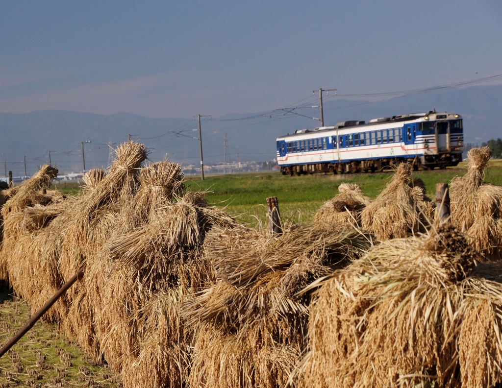 秋を感じる風景