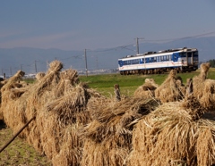 秋を感じる風景