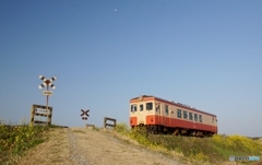 いすみ鉄道のいつもの踏切