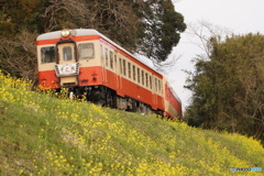 いすみ鉄道の早期復旧を願う①～⑦の⑤