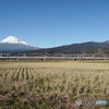 東海道新幹線　全編成と富士山！