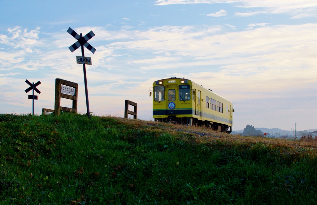 いすみ鉄道　いつもの踏切（朝）！