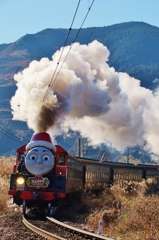 ジェームス君奮闘①