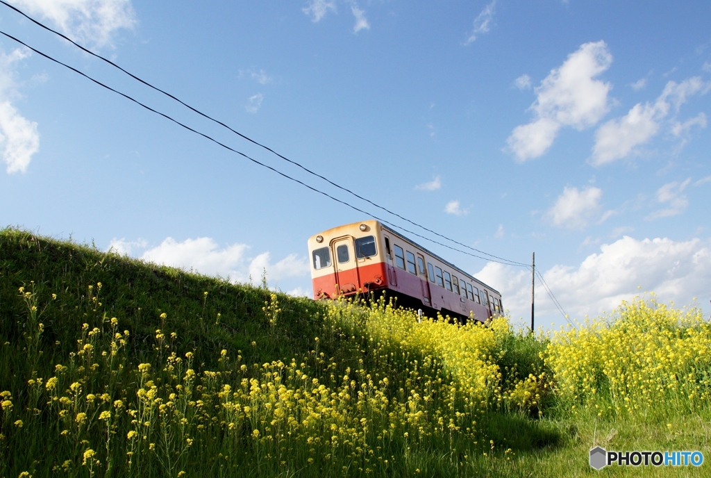 小湊鉄道　高滝の築堤！