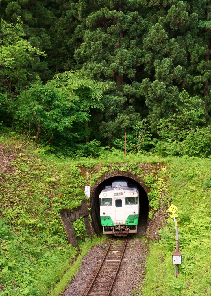 新緑に包まれたトンネルから飛出し‼