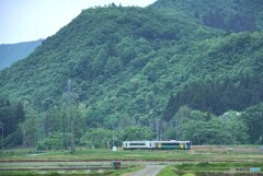 只見線の田園風景をポツンと２両のキハが走る！
