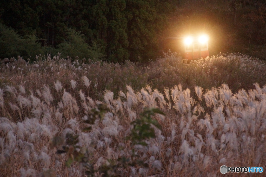 夕暮れの里山を走るキハ！