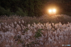夕暮れの里山を走るキハ！