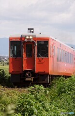 急な坂道を登るタラコ色のキハ110！
